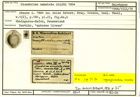 Karteikarte zum Holotyp von Glandulina annulata Stache, 1864